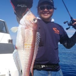 IDATEN(イダテン) 釣果