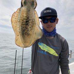 Magic(マジック) 釣果