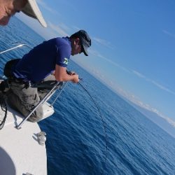 IDATEN(イダテン) 釣果