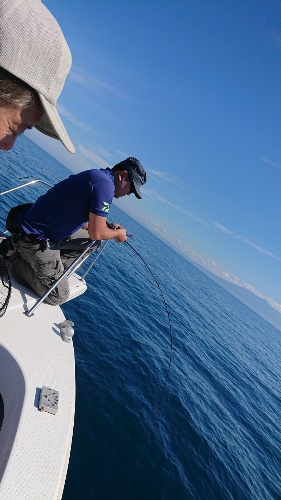 IDATEN(イダテン) 釣果