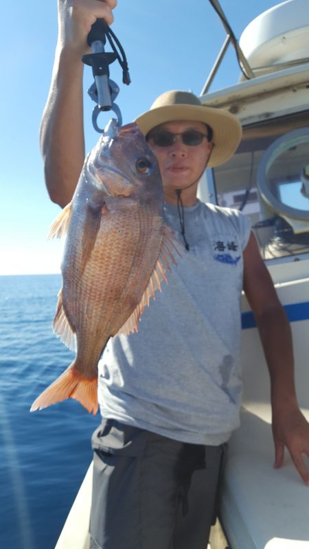 海峰 釣果