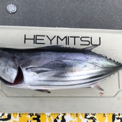 へいみつ丸 釣果