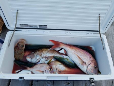 遊漁船 ニライカナイ 釣果