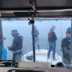 Magic（マジック） 釣果