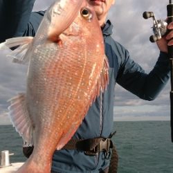 IDATEN(イダテン) 釣果