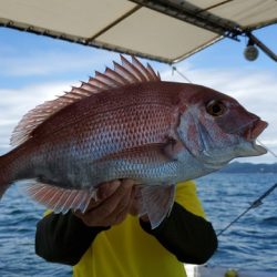 遊漁船 ニライカナイ 釣果
