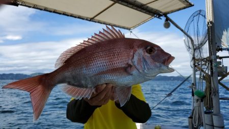 遊漁船 ニライカナイ 釣果