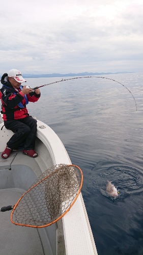 IDATEN(イダテン) 釣果