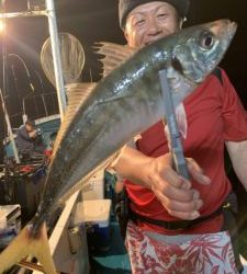 愛海丸 釣果