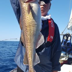 海峰 釣果