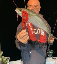 愛海丸 釣果