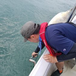 遊漁船 ニライカナイ 釣果