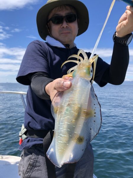 Magic(マジック) 釣果