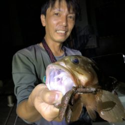 Magic（マジック） 釣果