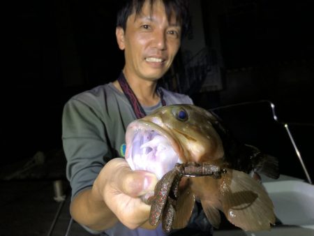 Magic（マジック） 釣果