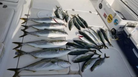 暁〜akatsuki〜 釣果