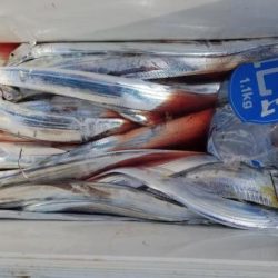 暁〜akatsuki〜 釣果