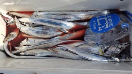 暁〜akatsuki〜 釣果