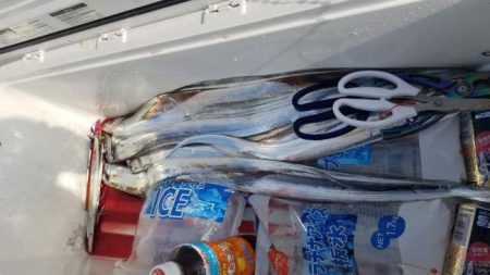 暁〜akatsuki〜 釣果