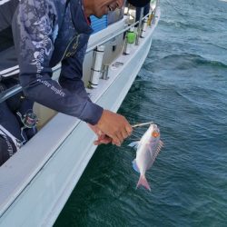 遊漁船　ニライカナイ 釣果