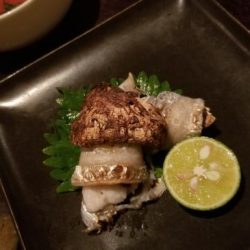 暁〜akatsuki〜 釣果