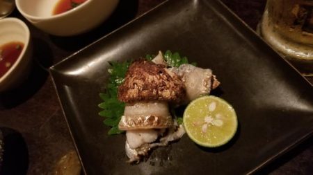 暁〜akatsuki〜 釣果