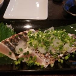 暁〜akatsuki〜 釣果