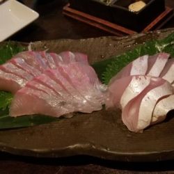 暁〜akatsuki〜 釣果