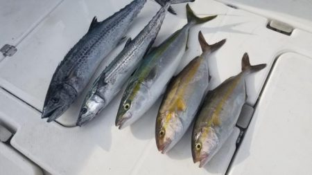 暁〜akatsuki〜 釣果