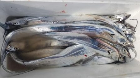 暁〜akatsuki〜 釣果