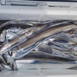 暁〜akatsuki〜 釣果