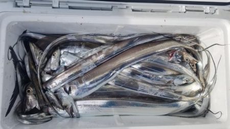 暁〜akatsuki〜 釣果