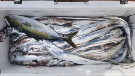 暁〜akatsuki〜 釣果