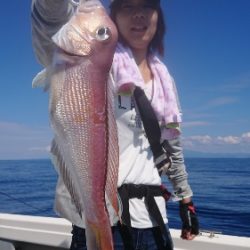 IDATEN(イダテン) 釣果