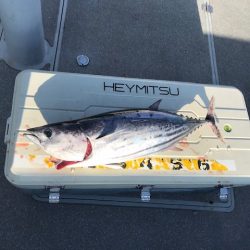 へいみつ丸 釣果