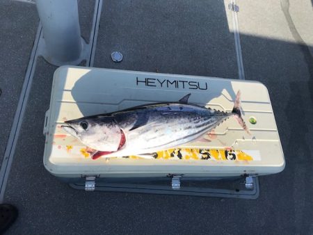 へいみつ丸 釣果