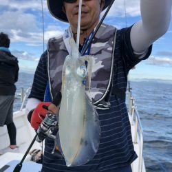 Magic(マジック) 釣果