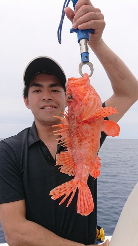 IDATEN（イダテン） 釣果