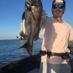 シーマジカル 釣果