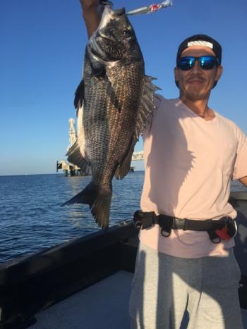 シーマジカル 釣果