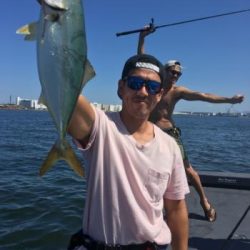 シーマジカル 釣果