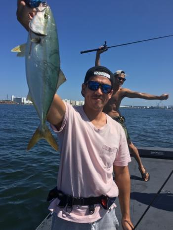 シーマジカル 釣果