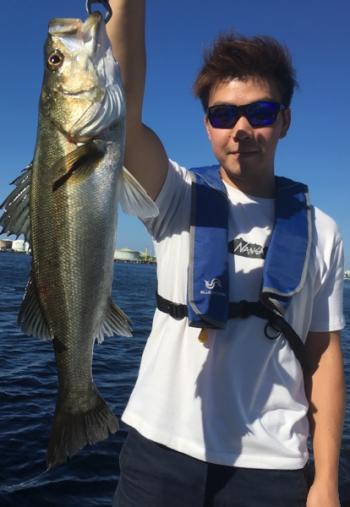 シーマジカル 釣果