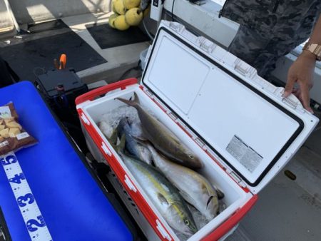 第八大安丸 釣果