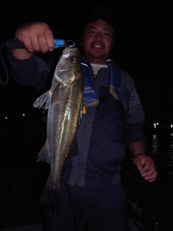 シーマジカル 釣果