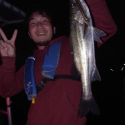 シーマジカル 釣果