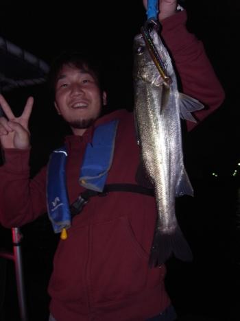 シーマジカル 釣果