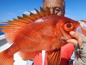 兼六丸 釣果