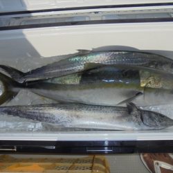 ＨＡＲＵＫＡ丸　はるかまる 釣果