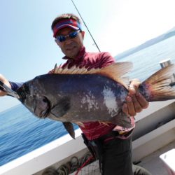 ジギング船 BLUEWATER 釣果